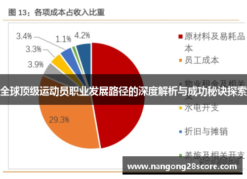 全球顶级运动员职业发展路径的深度解析与成功秘诀探索