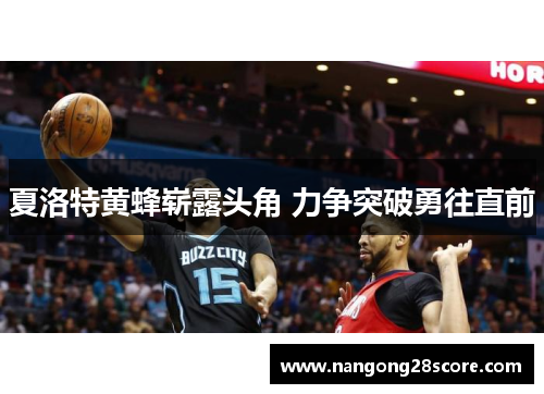 夏洛特黄蜂崭露头角 力争突破勇往直前