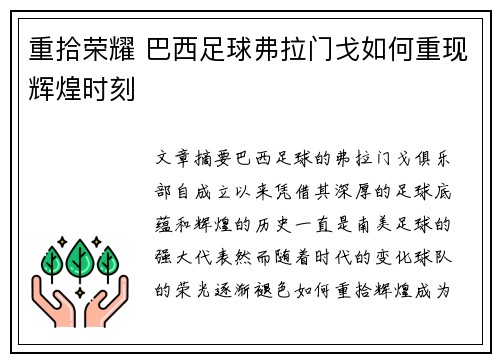重拾荣耀 巴西足球弗拉门戈如何重现辉煌时刻